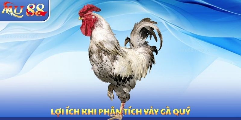 Lợi ích khi phân tích vảy gà quý
